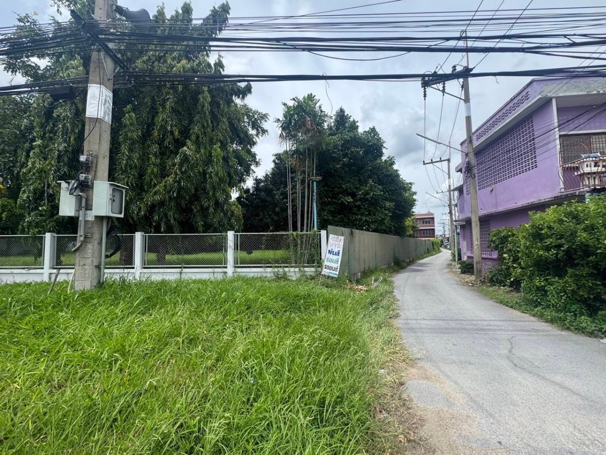รูป ที่ดินให้เช่า ติดถนนใหญ่ ย่านธุรกิจนครปฐม - รูปที่ 3/6