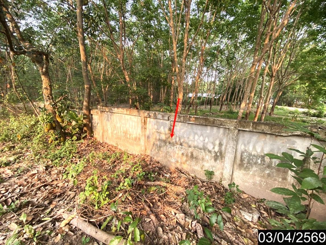 รูป บ้านเดี่ยว 1623 ตร.วา เซกา บึงกาฬ 1.7M - รูปที่ 20/24