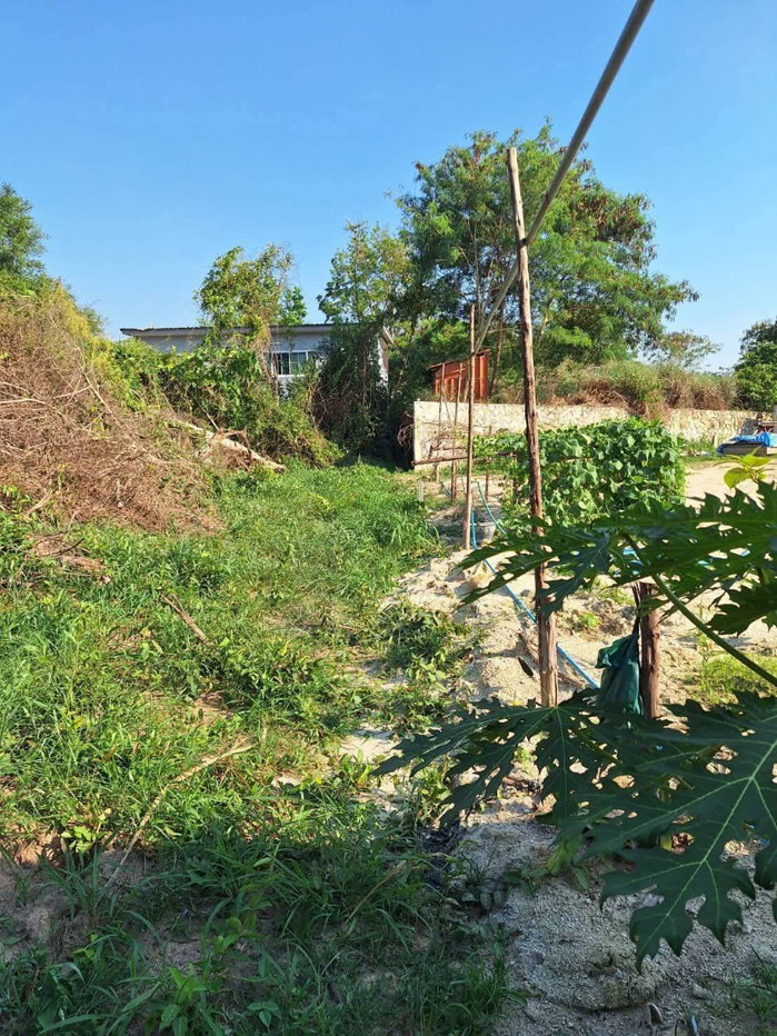 รูป ที่ดิน 56 ตรว. หนองเกตุน้อย บางละมุง ใกล้พัทยา - รูปที่ 3/4