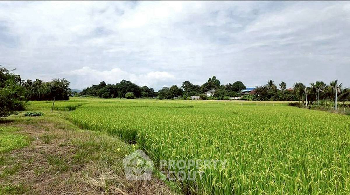 รูป ที่ดินสำหรับปล่อยขาย 9,712 ตารางเมตร แถว ใน ห้วยทราย (ID 2868261) - รูปที่ 5/13