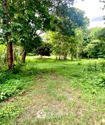 Land for rent Chiang Mai : 4,800 m² Land for Rent in Ban Sahakon (ID 2579159)