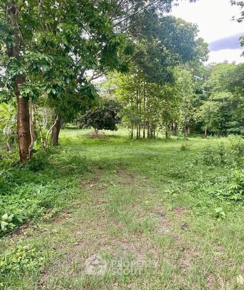 picture 4,800 m² Land for Rent in Ban Sahakon (ID 2579159) - 1/4