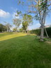 listing thumbnail image 35