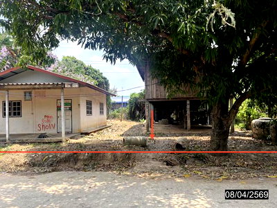 บ้านเดี่ยว 142 ตร.วา เชียงขวัญ ร้อยเอ็ด 541,000