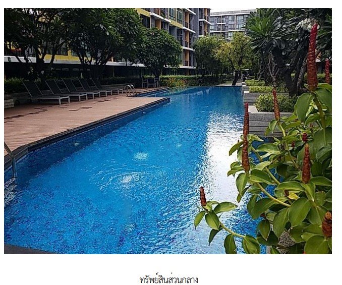 รูป ห้องชุด/คอนโดมิเนียม 33.93 ตร.ม. โครงการ ไอคอน โดสุขุมวิท  103 กรุงเทพ บางนา กรุงเทพมหานคร 2.2M - รูปที่ 10/14