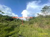 listing thumbnail image 16