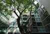 listing thumbnail image 25