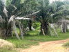 listing thumbnail image 10