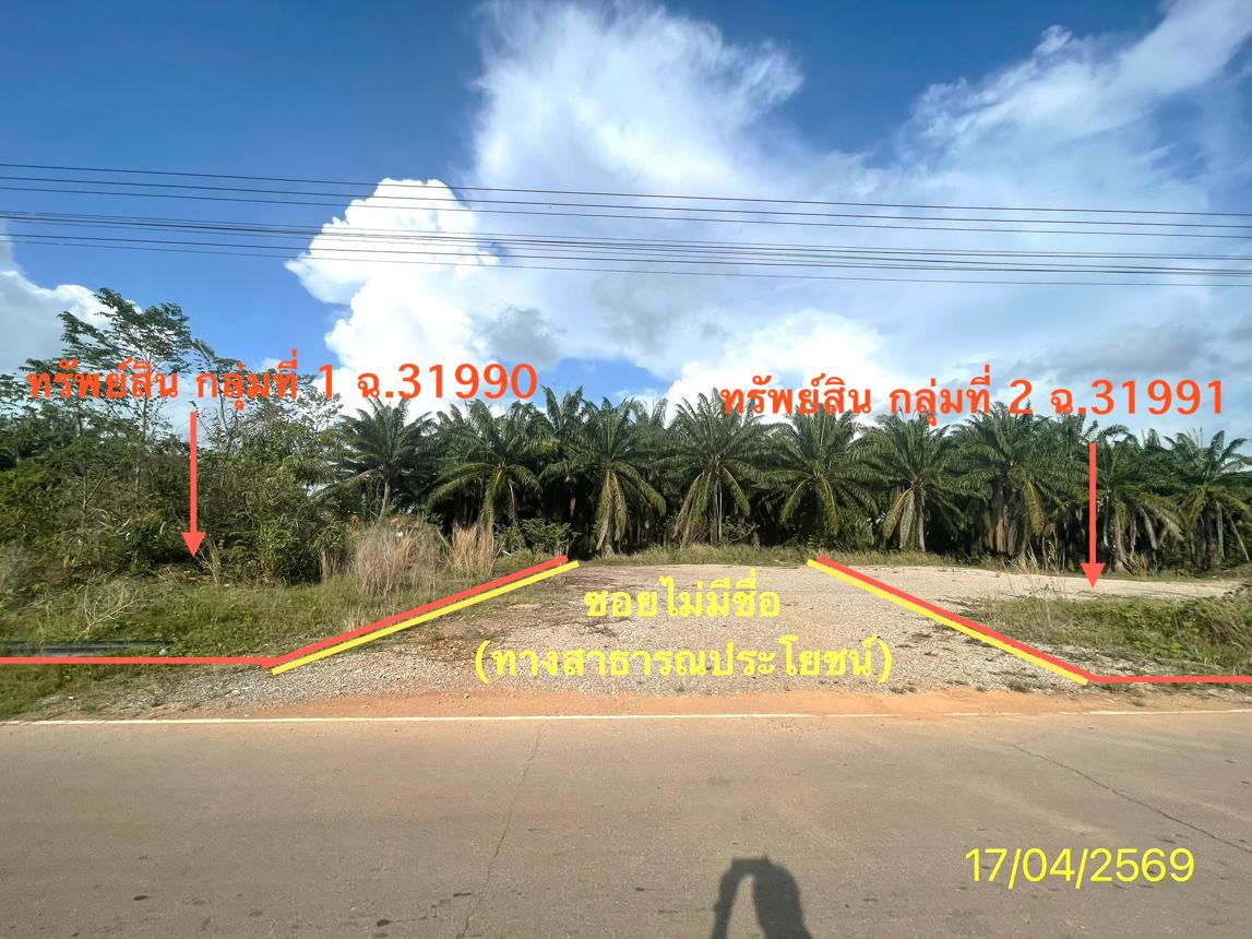 รูป ที่ดินว่างเปล่า 564.2 ตร.วา ปะเหลียน ตรัง 4.2M - รูปที่ 26/30