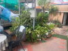 listing thumbnail image 21