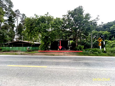 Houses for sale Loeng Nok Tha Yasothon : HOME 265 Sq.w. Loeng Nok Tha Yasothon for 1M