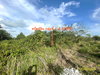 listing thumbnail image 18