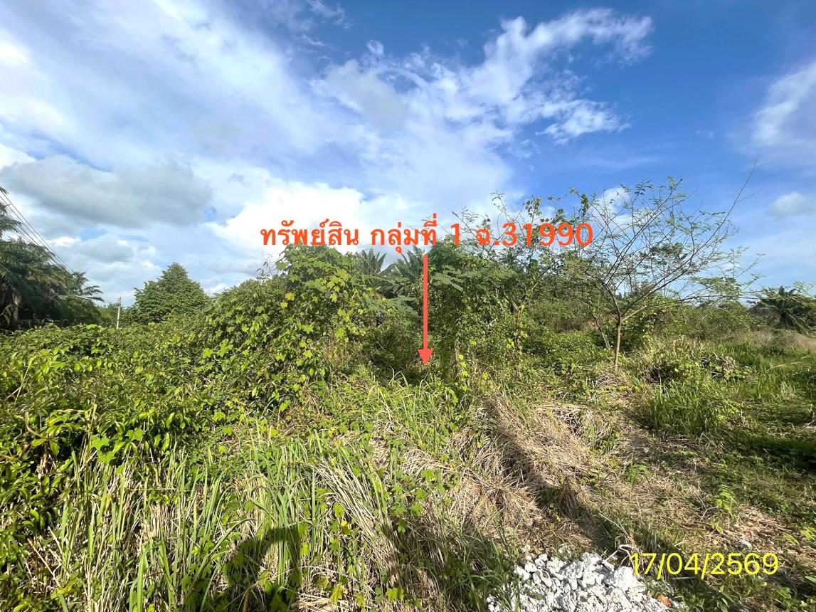 รูป ที่ดินว่างเปล่า 564.2 ตร.วา ปะเหลียน ตรัง 4.2M - รูปที่ 19/30