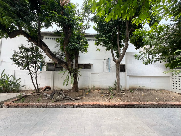 รูป 🏡✨ For Rent | ให้เช่า บ้านเดี่ยวสุขุมวิท 71 รีโนเวทใหม่ทั้งหลัง สไตล์คลาสสิค ใกล้โรงเรียนนานาชาติ  - รูปที่ 4/62