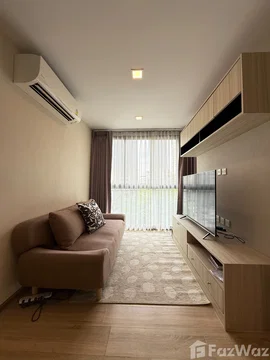 Taka Haus 6245497