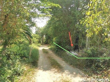 รูป ที่ดินว่างเปล่า 1603 ตร.วา ป่าโมก อ่างทอง 1.9M - รูปที่ 9/12