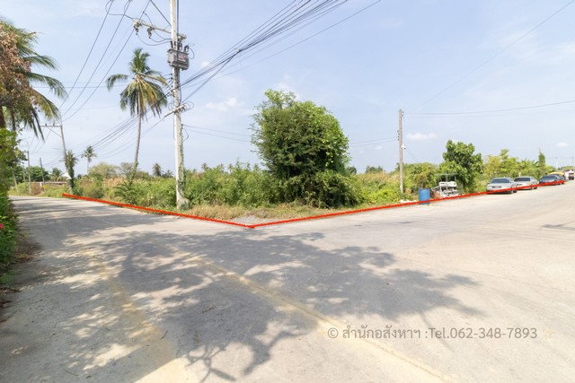 รูป ขายที่ดินทำเลทอง ต.คลองใหม่ สามพราน นครปฐม ติดถนน 2 ด้าน - รูปที่ 1/8