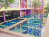 listing thumbnail image 13