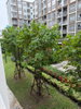 listing thumbnail image 5
