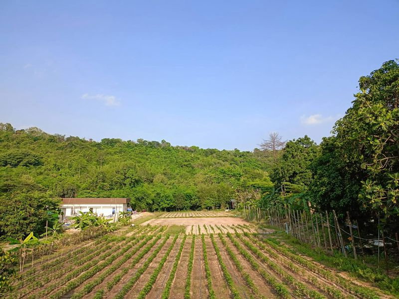 รูป ขายที่ดินบ่อวิน ศรีราชา ชลบุรี แปลงสวย ทำเลดี ติดภูเขา - รูปที่ 3/14