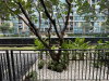 listing thumbnail image 18