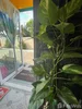 listing thumbnail image 43