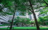 listing thumbnail image 4