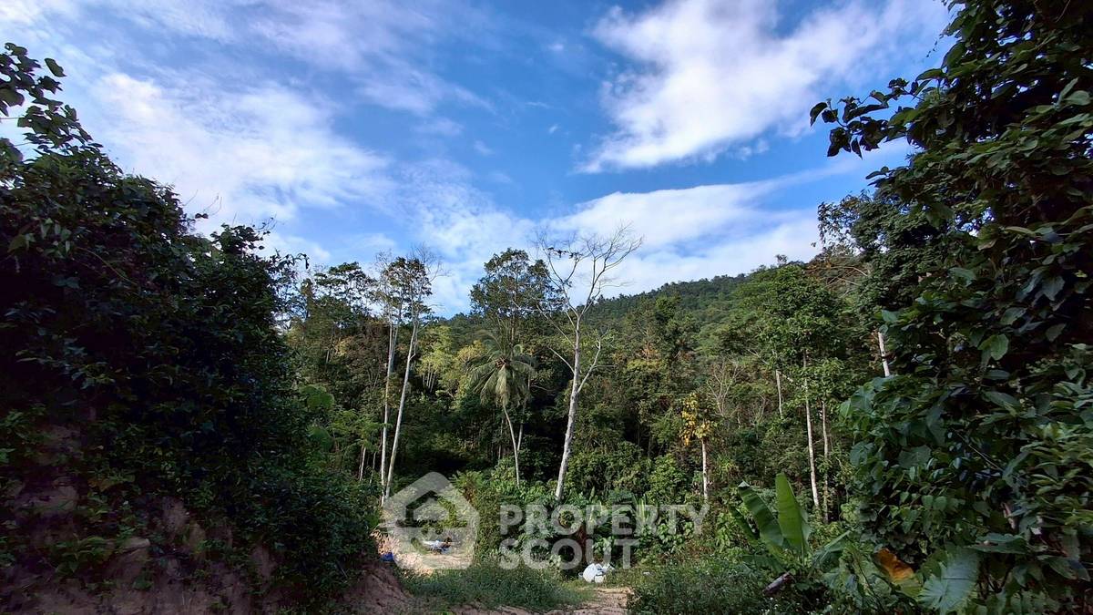 รูป ที่ดินสำหรับปล่อยขาย 19,200 ตารางเมตร แถว ใกล้ ท่าเรือหน้าทอน (ID 2834151) - รูปที่ 3/11