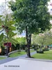 listing thumbnail image 6