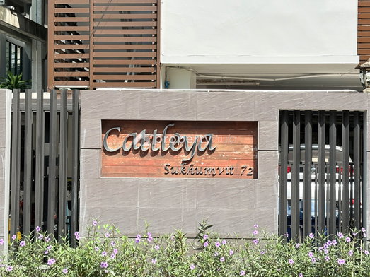 รูป Cattleya Sukhumvit 72 - รูปที่ 4/8