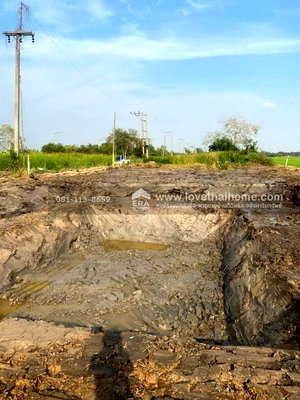 Land for sale Nong Sua Pathumthani : Land for sale, located along Canal 8, Rangsit-Nakhon Nayok Road. Area: 200 square wah. Selling price: 800,000 baht.