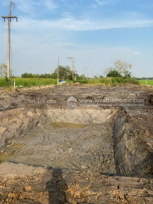 รูป ขายที่ดิน ติดถนนเลียบ คลอง8 ถนนรังสิต-นครนายก พื้นที่ 200 ตรว. ขายเพียง 800,000 บาท  - รูปที่ 1/5