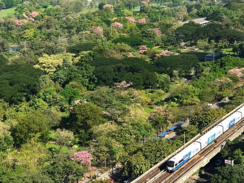 A035308 The Line Jatujak - Mochit