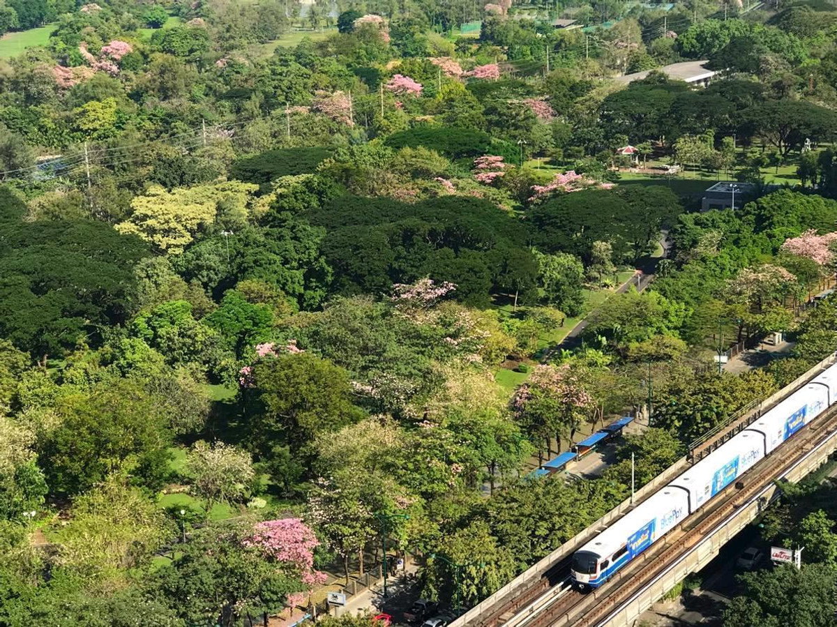 รูป A035308 The Line Jatujak - Mochit - รูปที่ 1/6