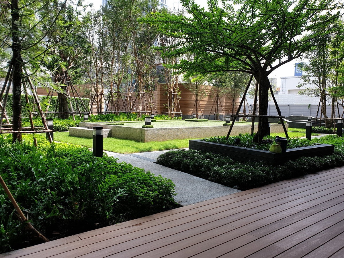 รูป A035223 Grow Rattanathibet - รูปที่ 7/8