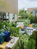 listing thumbnail image 12