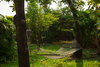 listing thumbnail image 4