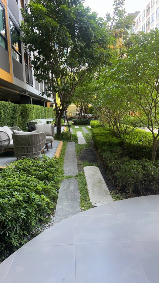 รูป 🏙️ ให้เช่าคอนโด The Muve Bangkhae (เดอะ มูฟ บางแค) ห้องพร้อมเข้า - รูปที่ 4/12