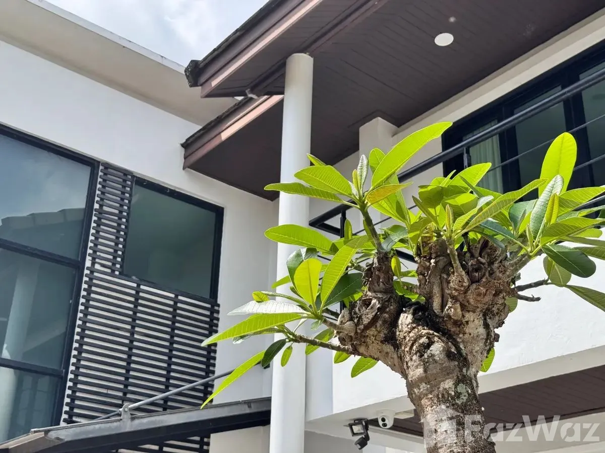 รูป ขาย วิลล่า 3 ห้องนอน ใน ศรีสุนทร, ภูเก็ต 161156 - รูปที่ 12/25
