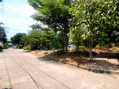 Land for sale Pattaya Sai 3 Road : Land in Pattaya aprime area in Soi thappaya- Near Pratumnak Hills