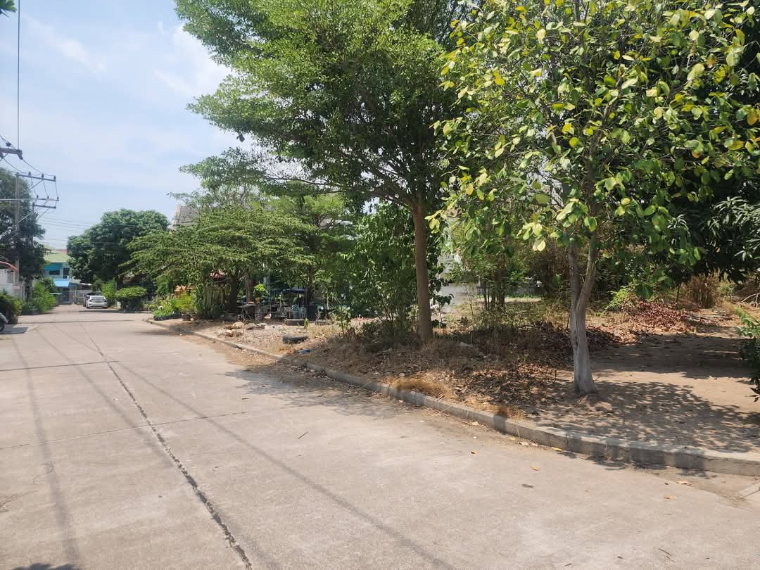 รูป ที่ดินพัทยาทำเลทองใกล้เขาพระตำหนัก ซ.ทัพพะยา ใกล้คอนโดอะเคเดีย แปลงใหญ่ 236ตร.ว - รูปที่ 1/3
