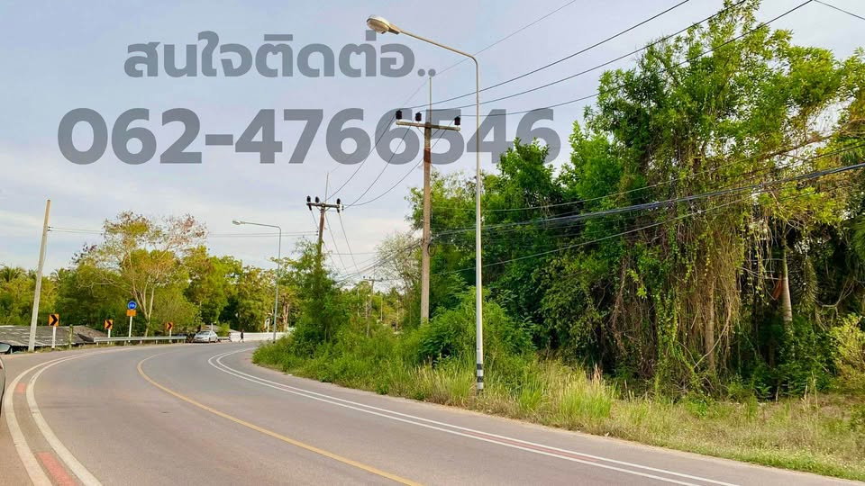 รูป ขายที่ดินศักยภาพสูง ติดถนนหลักหน้ากว้าง  ใกล้ทะเล สนามบินชุมพร มหาวิทยาลัย โครงการท่าเรือไปเกาะเต่า และสถานที่ท่องเที่ยว เหมาะกับการลงทุน - รูปที่ 3/7