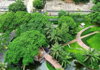 listing thumbnail image 7