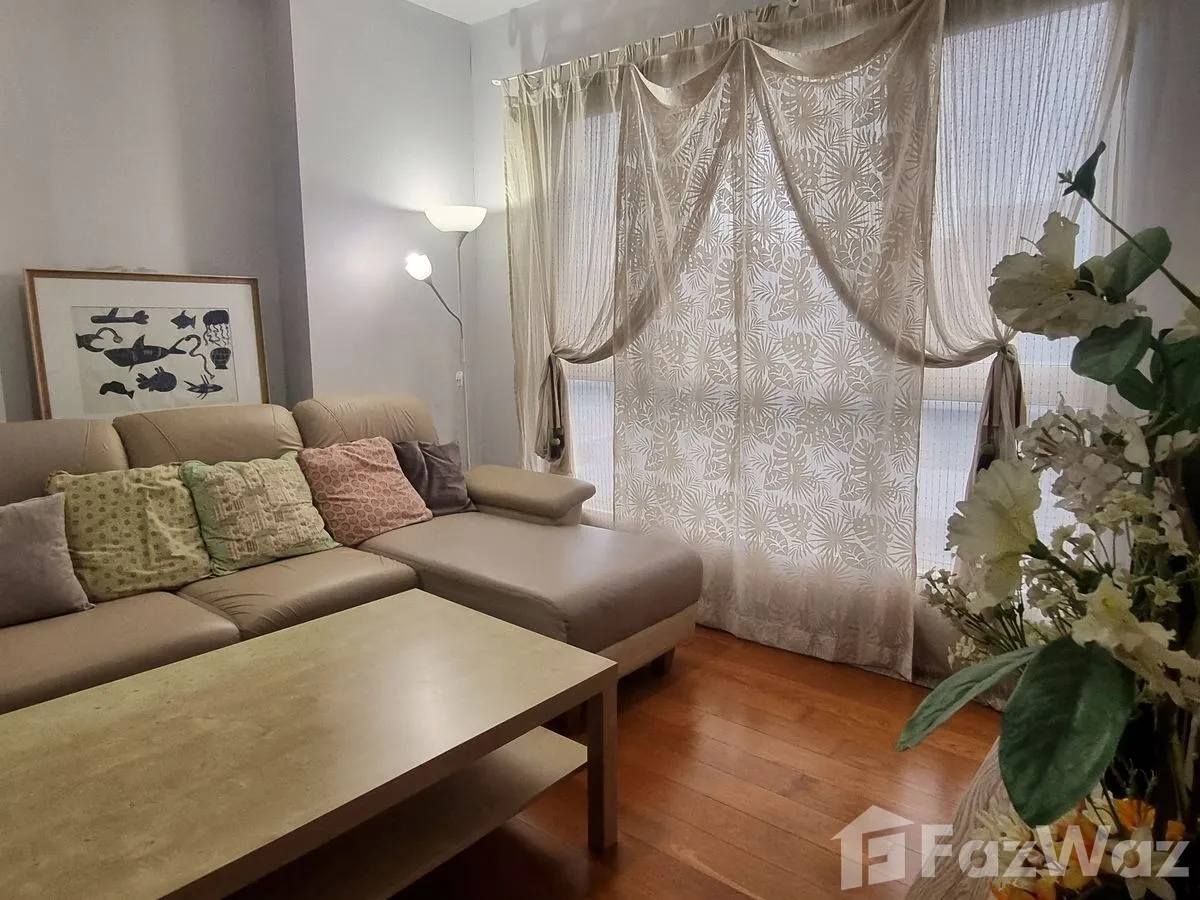 picture Hive Taksin 6249788 - 7/15