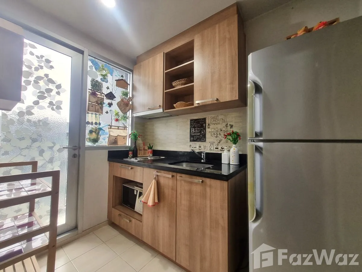 picture Hive Taksin 6249788 - 8/15