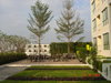 listing thumbnail image 15