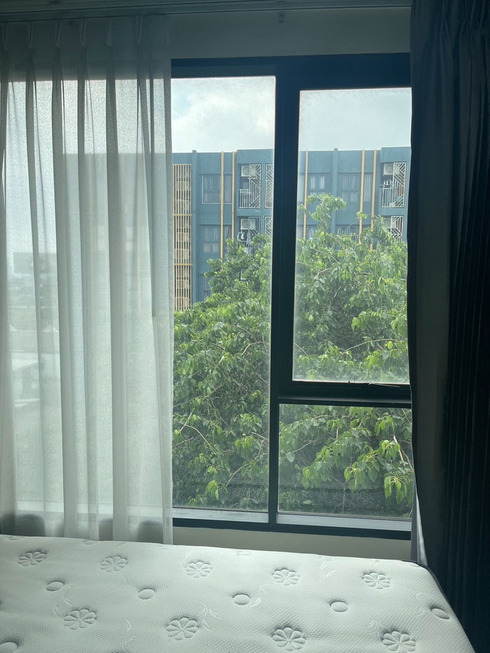 รูป ให้เช่าด่วน!! พร้อมเข้าอยู่🍀Niche mono sukhumvit 50🍀 @ian569/please contact us🌸 - รูปที่ 4/13