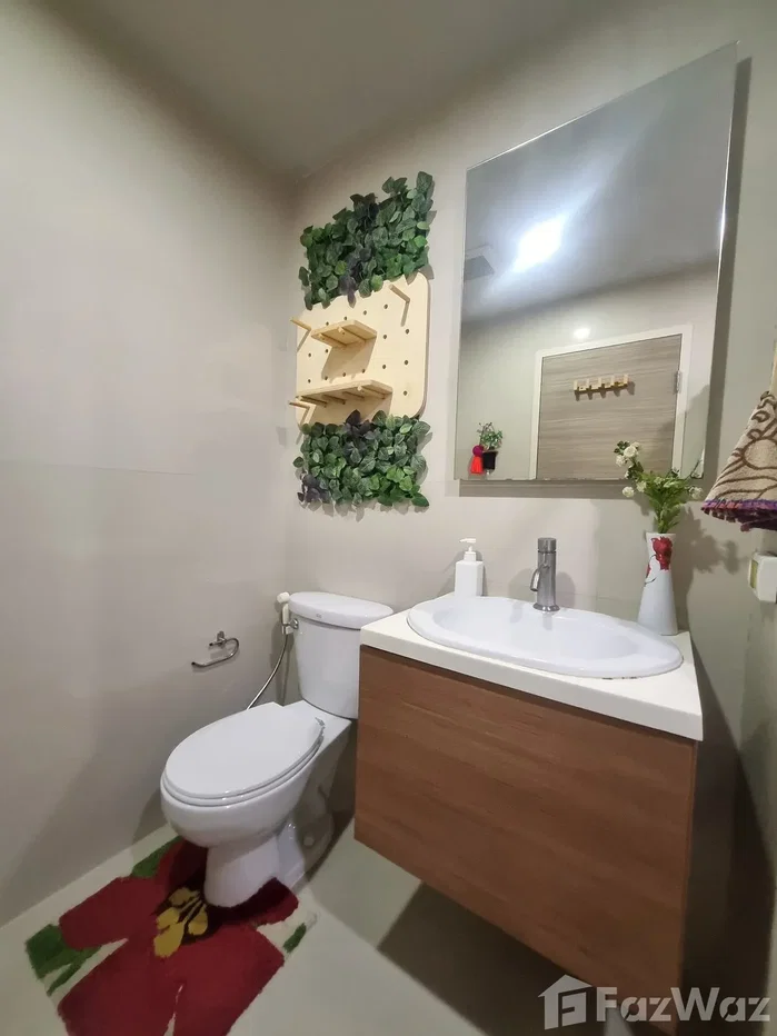 picture Hive Taksin 6249788 - 13/15
