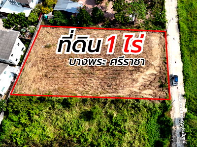 ที่ดิน ม.เทคโนโลยีราชมงคลตะวันออก : ขายที่ดินทำเลทอง ถมแล้ว 1 ไร่ บางพระ ศรีราชา