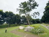 listing thumbnail image 22